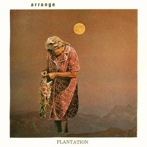 plantationcover300